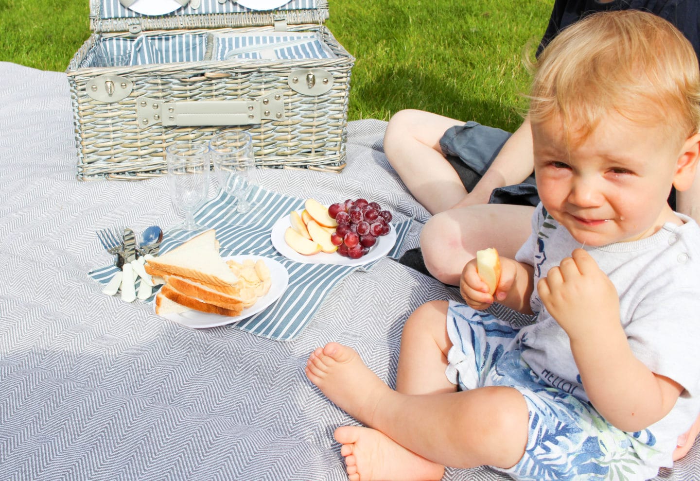 Why A Family Picnic Is A Winning Idea (AD)