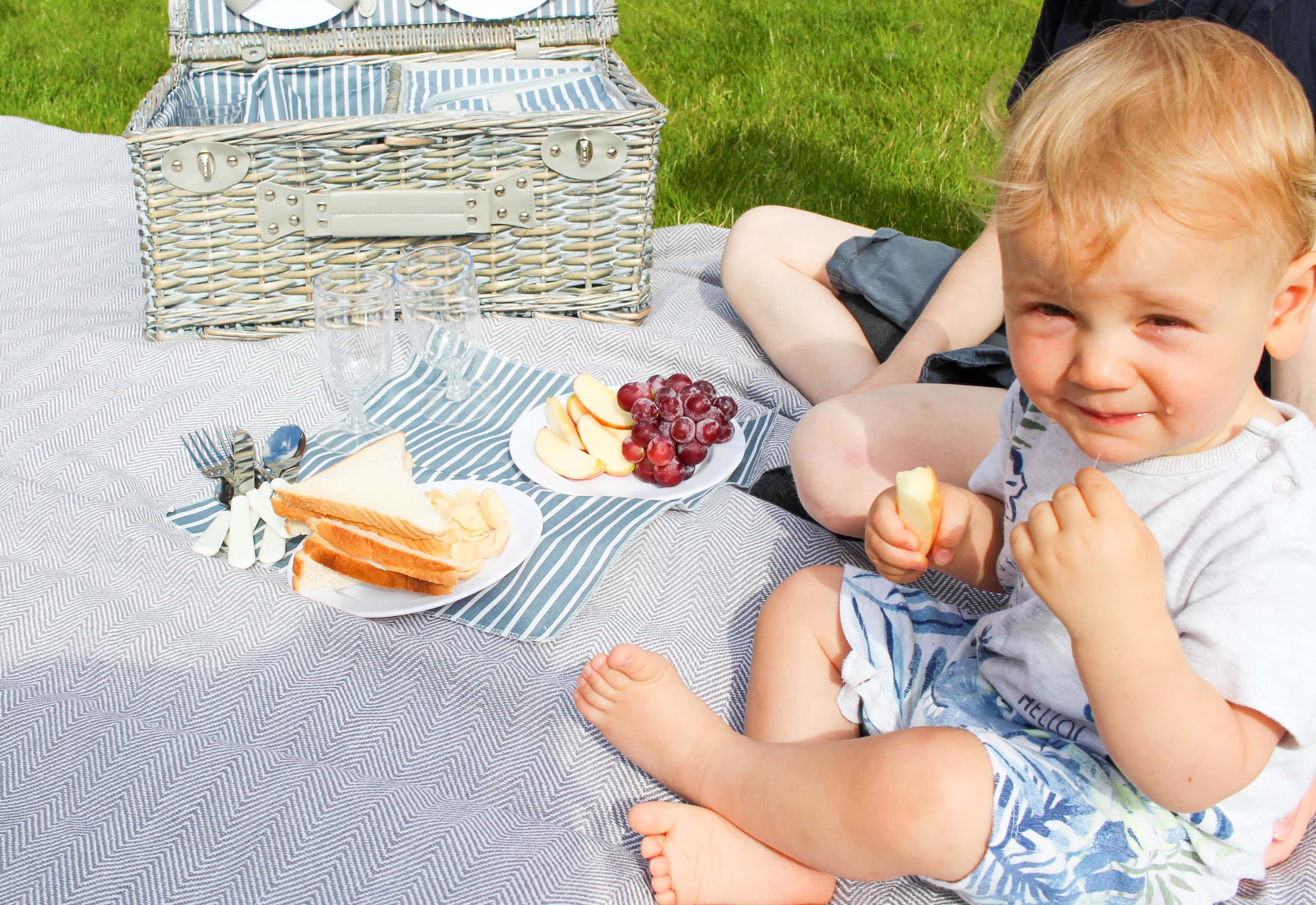 Why A Family Picnic Is A Winning Idea (AD) Sophobsessed