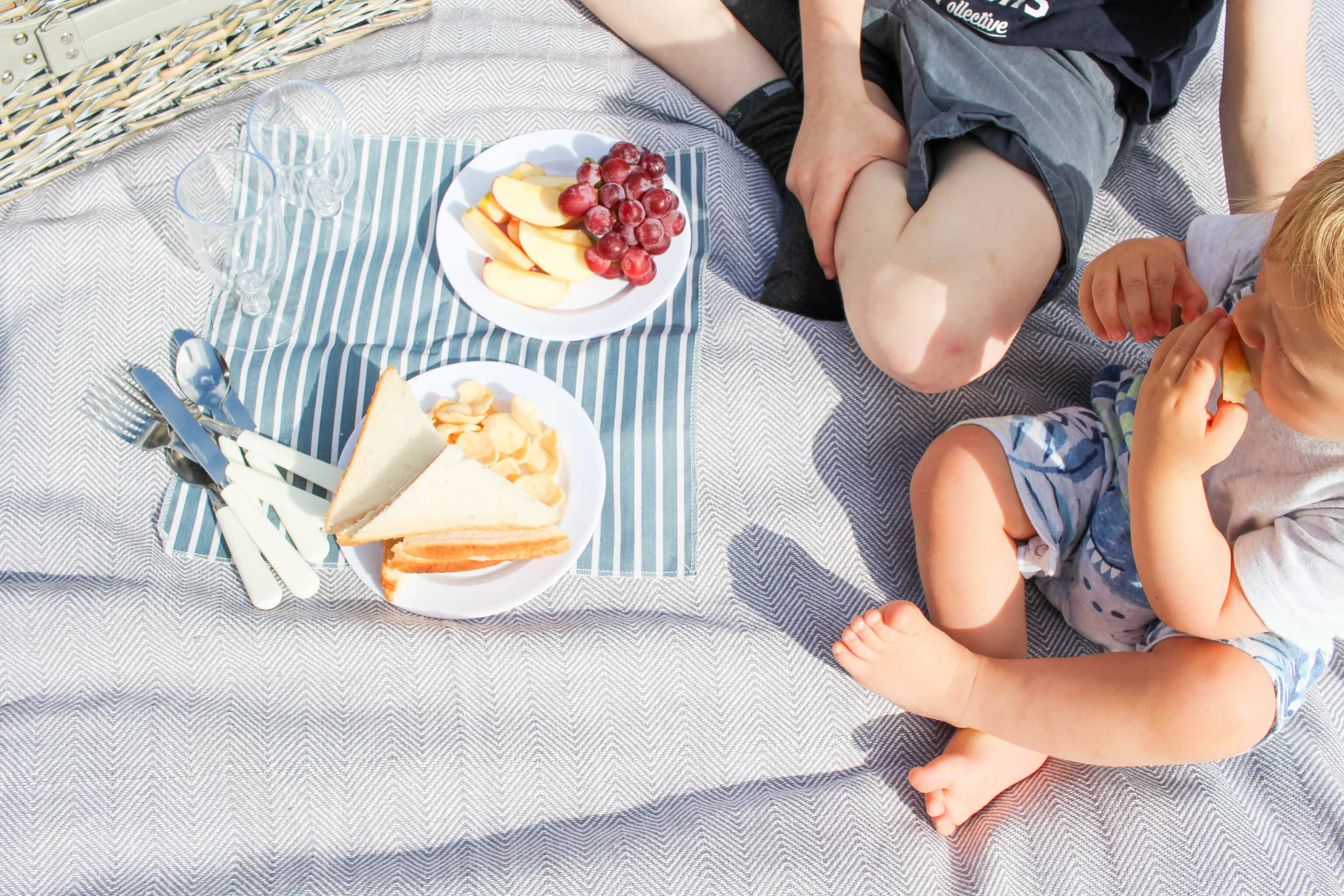Why A Family Picnic Is A Winning Idea (AD) Sophobsessed