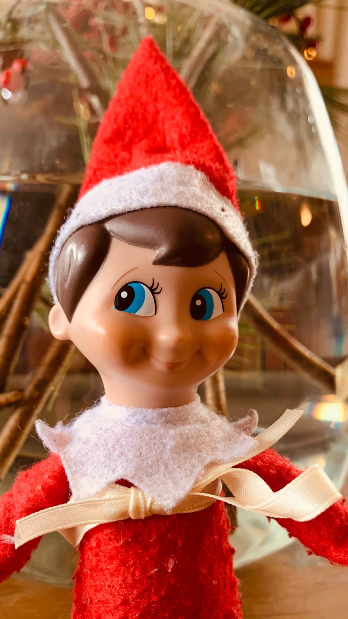 Genius Elf on the Shelf ideas for Christmas 2020 the kids will love -  Liverpool Echo